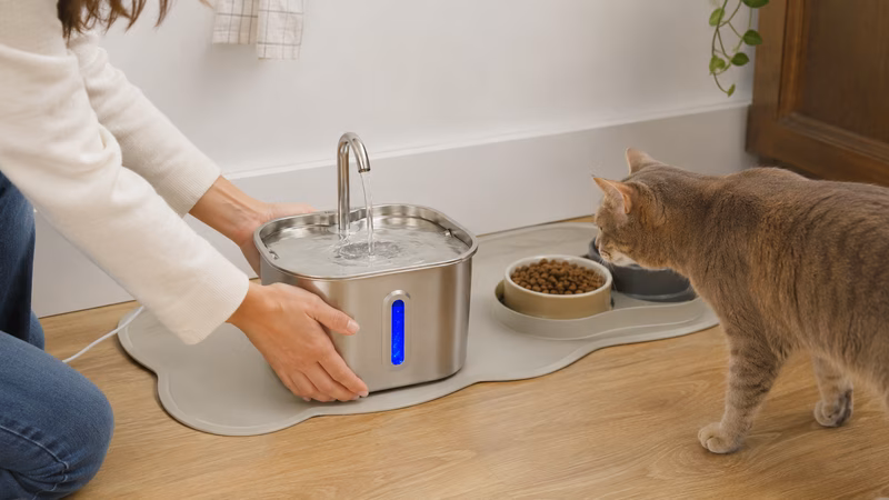 Illustration of the problem CatVitalis solves